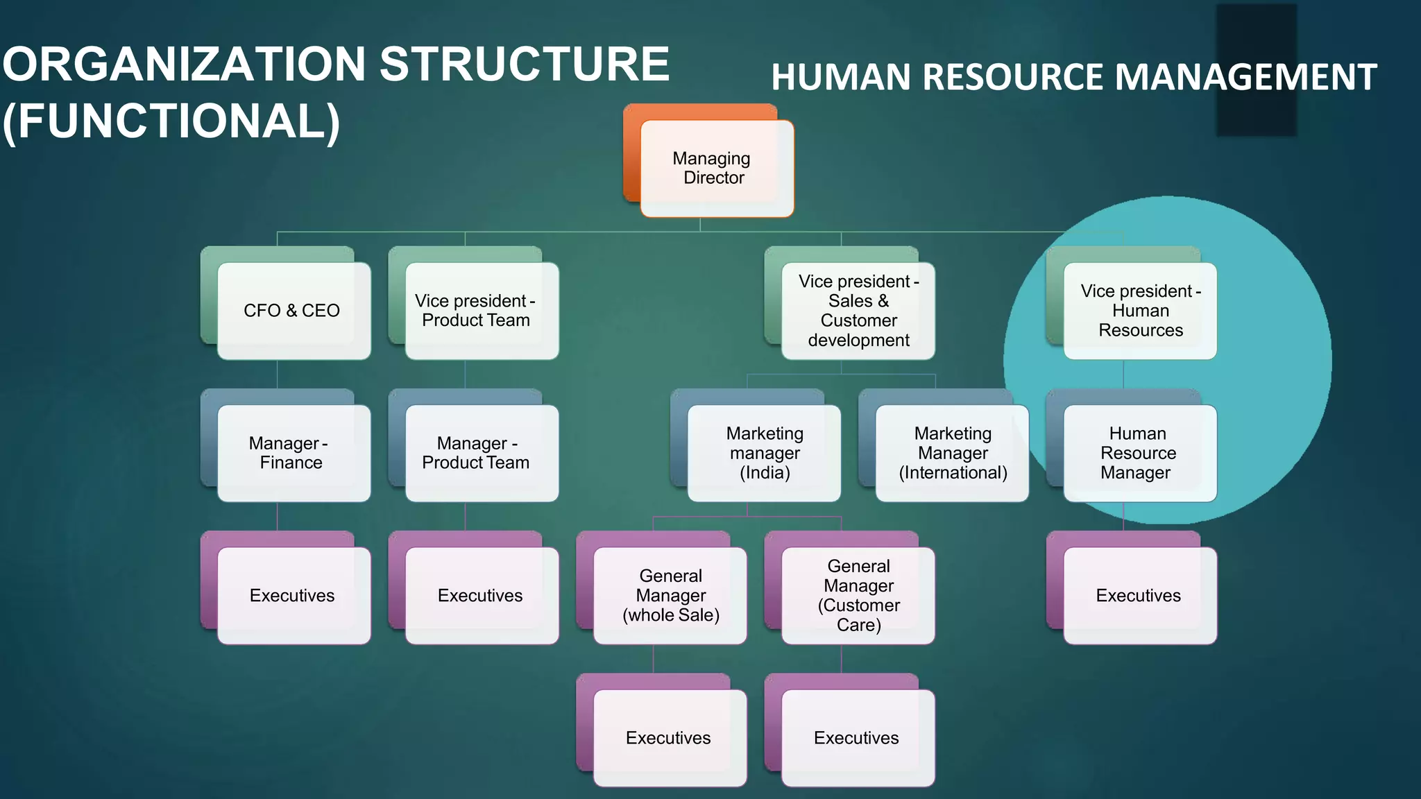 ORGANIZATION STRUCTURE
(FUNCTIONAL)
Managing
Director
Vice president -
Human
Resources
Human
Resource
Manager
Executives
Vice president -
Sales &
Customer
development
Marketing
Manager
(International)
Marketing
manager
(India)
General
Manager
(Customer
Care)
Executives
General
Manager
(whole Sale)
Executives
Vice president -
Product Team
Manager -
Product Team
Executives
CFO & CEO
Manager -
Finance
Executives
HUMAN RESOURCE MANAGEMENT
 