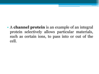 • A channel protein is an example of an integral
protein selectively allows particular materials,
such as certain ions, to pass into or out of the
cell.
 