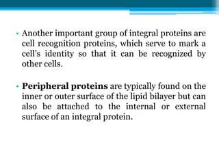 • Another important group of integral proteins are
cell recognition proteins, which serve to mark a
cell’s identity so that it can be recognized by
other cells.
• Peripheral proteins are typically found on the
inner or outer surface of the lipid bilayer but can
also be attached to the internal or external
surface of an integral protein.
 