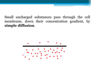 Small uncharged substances pass through the cell
membrane, down their concentration gradient, by
simple diffusion.
 