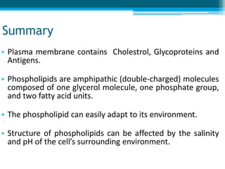 Summary
• Plasma membrane contains Cholestrol, Glycoproteins and
Antigens.
• Phospholipids are amphipathic (double-charged) molecules
composed of one glycerol molecule, one phosphate group,
and two fatty acid units.
• The phospholipid can easily adapt to its environment.
• Structure of phospholipids can be affected by the salinity
and pH of the cell’s surrounding environment.
 
