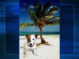 Aloha, Play often and play hard like me . 