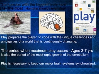 Play prepares the player, to cope with the unique challenges and ambiguities of a world that is continuously changing .  The period when maximum play occurs - Ages 3-7 yrs is also the period of the most rapid growth of the cerebellum.  Play is necessary to keep our major brain systems synchronized. The species with the biggest brain size play the most .   Humans should never stop! 