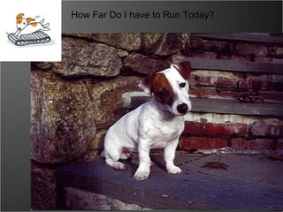 How Far Do I have to Run Today?  