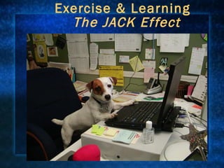 Exercise & Learning    The JACK Effect 