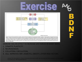 Cotman CW, Berchtold NC, Christie LA.Exercise builds brain health: key roles of growth factor cascades and inflammation.  Trends Neurosci. 2007 Sep;30(9):464-72. Exercise - BDNF BDNF Exercise EXERCISE HAS AN EFFECT TO INCREASE LIFE FORCES IN MANY WAYS: 1.  SYNAPTIC PLASTICITY 2.  NEUROGENESIS 3.  COLLATERAL CIRCULATION,  4.  Also  IMPROVES HBP, DIABETES, OBESITY, OTHER RISK FACTORS AND 