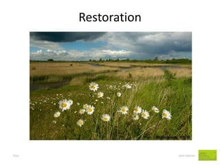 Restoration 
Dust John Salmon  