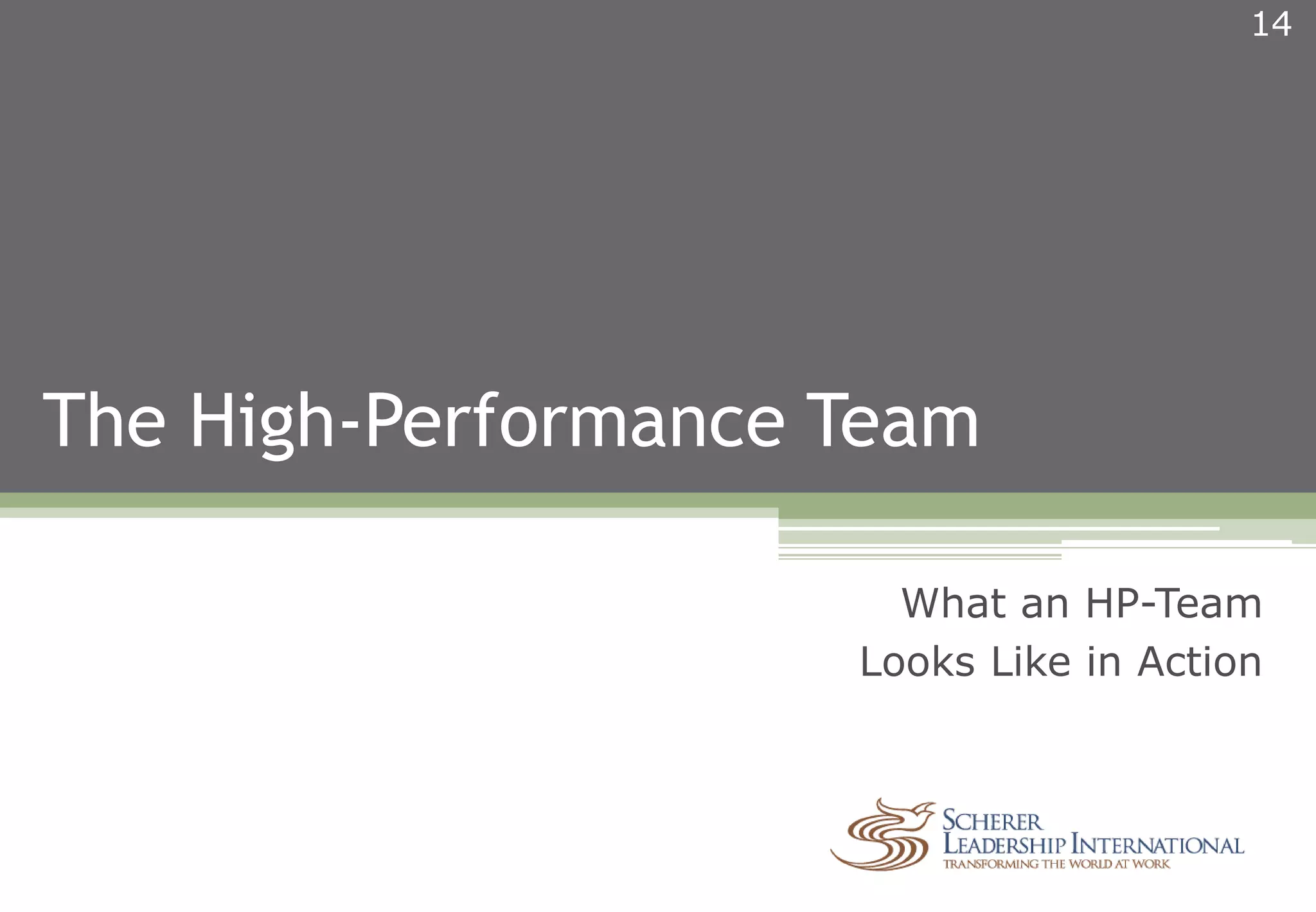 The High-Performance Team
14
What an HP-Team
Looks Like in Action
 