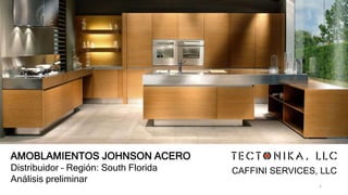 AMOBLAMIENTOS JOHNSON ACERO
Distribuidor – Región: South Florida
Análisis preliminar
CAFFINI SERVICES, LLC
1
 
