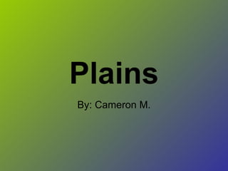 Plains By: Cameron M. 
