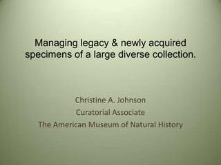 Managing legacy & newly acquired
specimens of a large diverse collection.
Christine A. Johnson
Curatorial Associate
The American Museum of Natural History
 