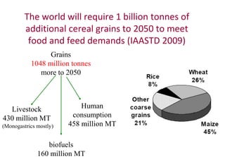 The production and consumption of livestock products in developing countries: Issues facing the world's poor