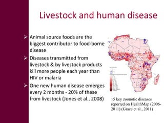 The production and consumption of livestock products in developing countries: Issues facing the world's poor