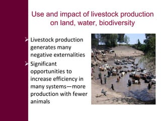 The production and consumption of livestock products in developing countries: Issues facing the world's poor