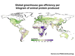 The production and consumption of livestock products in developing countries: Issues facing the world's poor