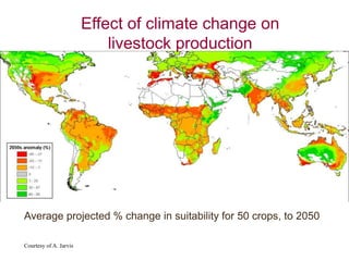 The production and consumption of livestock products in developing countries: Issues facing the world's poor
