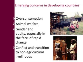 Emerging concerns in developing countries


Overconsumption
Animal welfare
Gender and
 equity, especially in
 the face ...