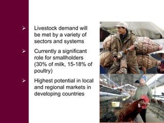 The production and consumption of livestock products in developing countries: Issues facing the world's poor