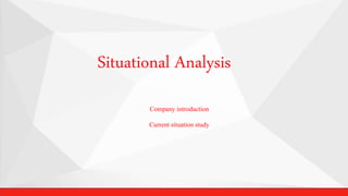 Situational Analysis
Company introduction
Current situation study
 