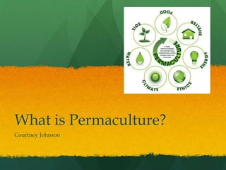 What is Permaculture?
Courtney Johnson
 