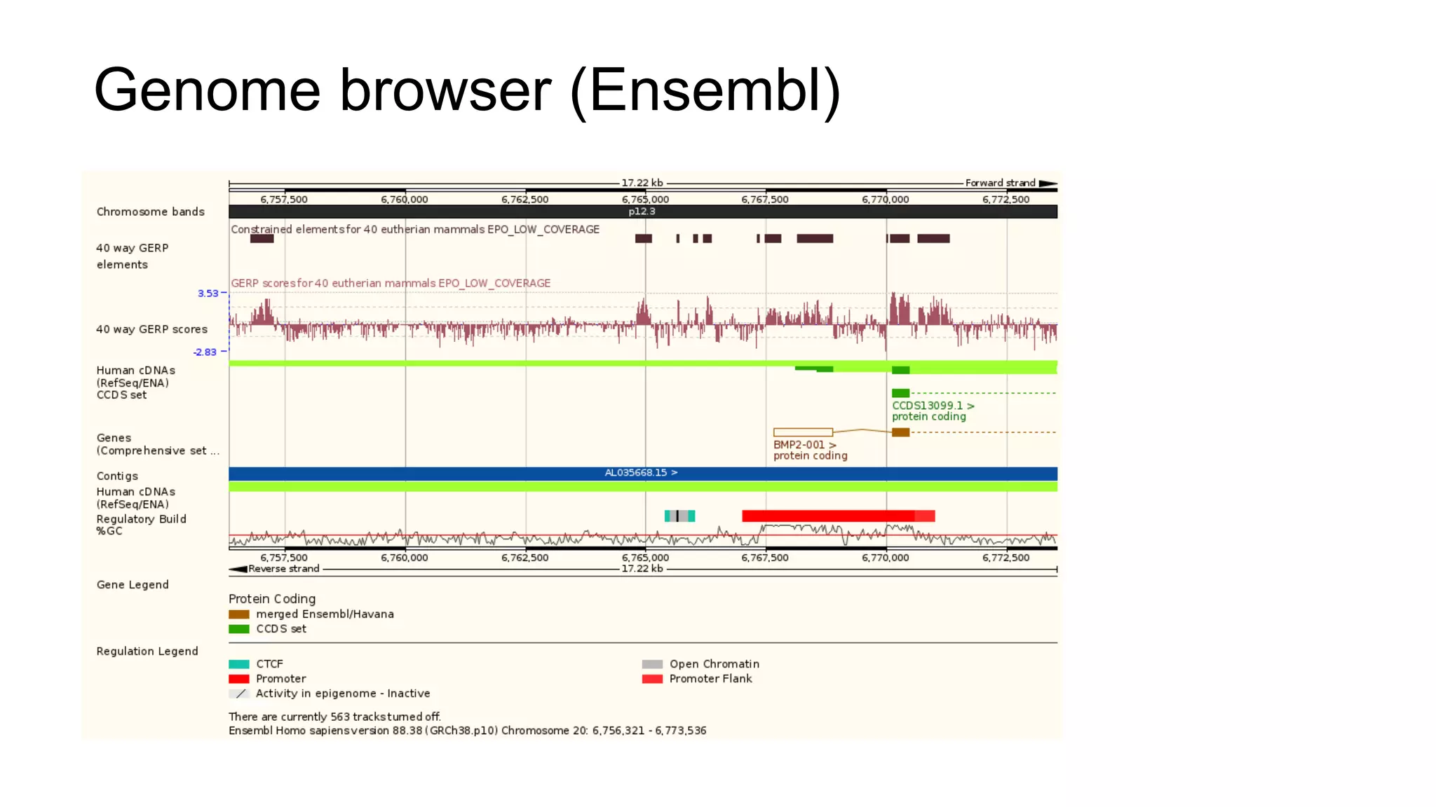 Genome browser (Ensembl)
 