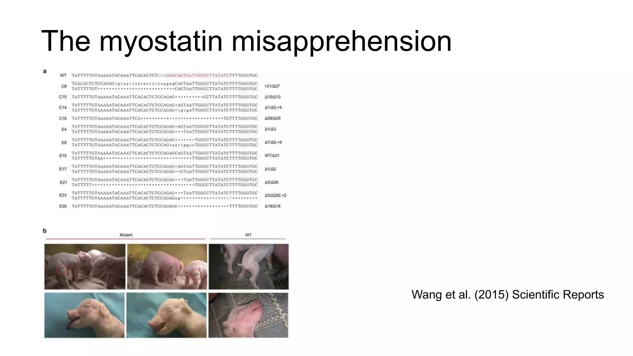 The myostatin misapprehension
Wang et al. (2015) Scientific Reports
 