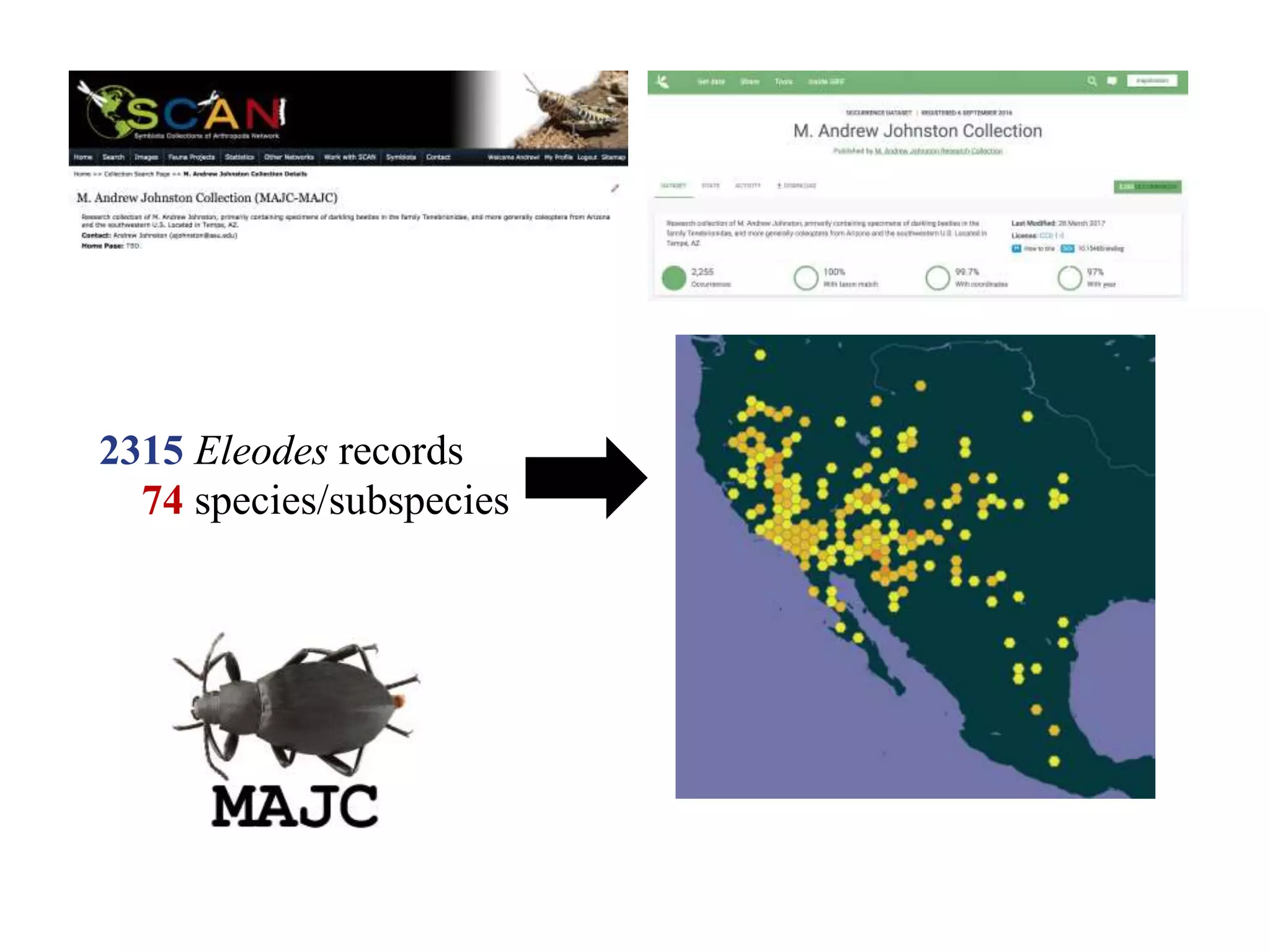 2315 Eleodes records
74 species/subspecies
 
