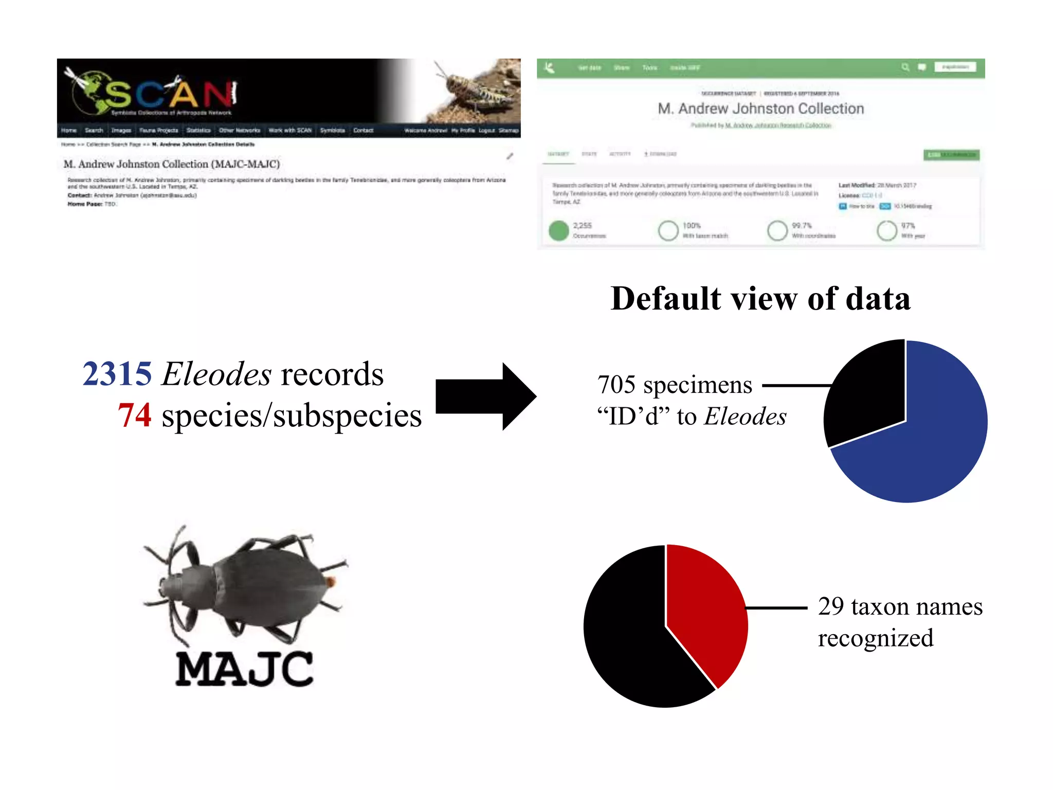 2315 Eleodes records
74 species/subspecies
Default view of data
705 specimens
“ID’d” to Eleodes
29 taxon names
recognized
 