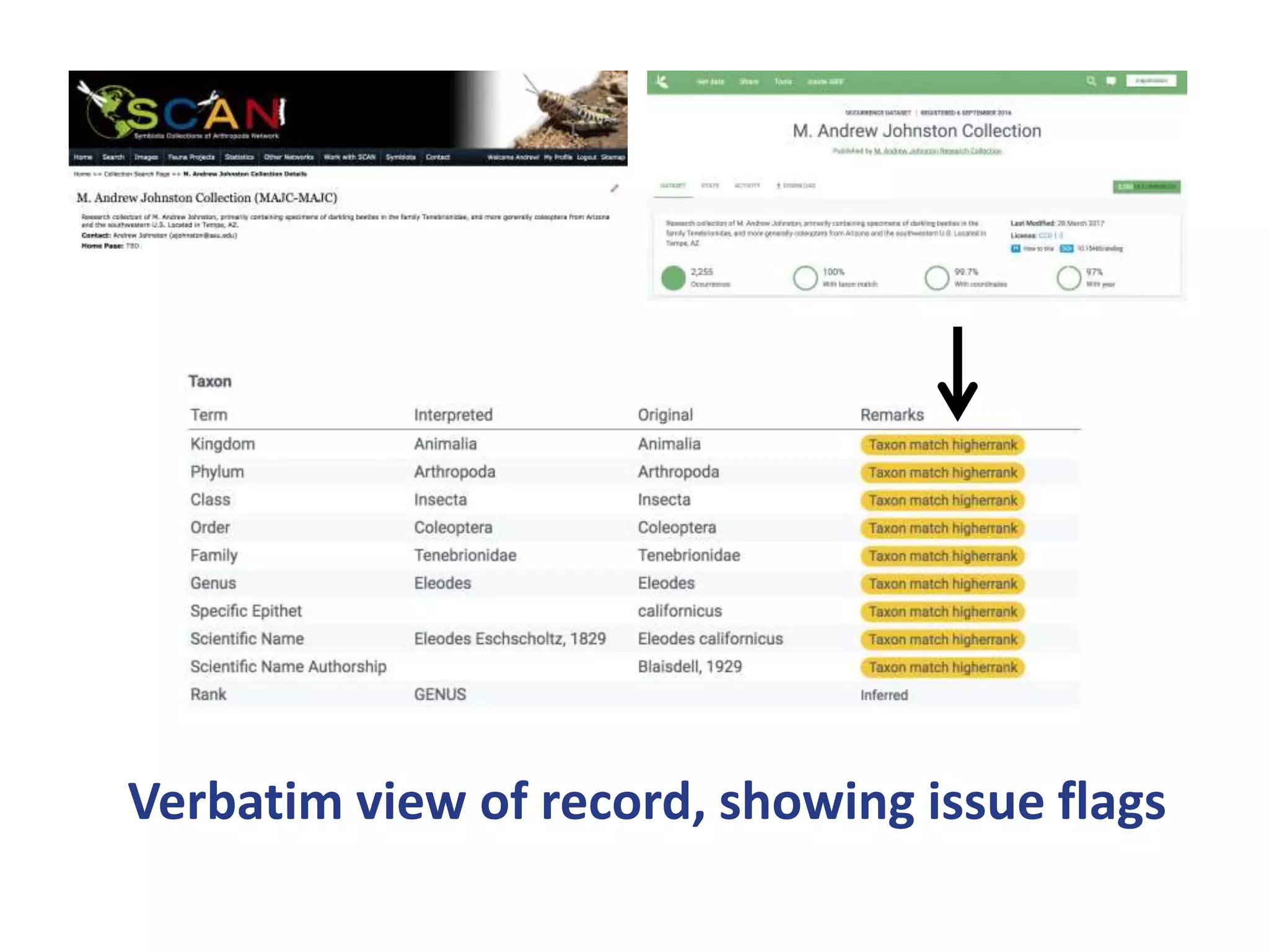 Verbatim view of record, showing issue flags
 