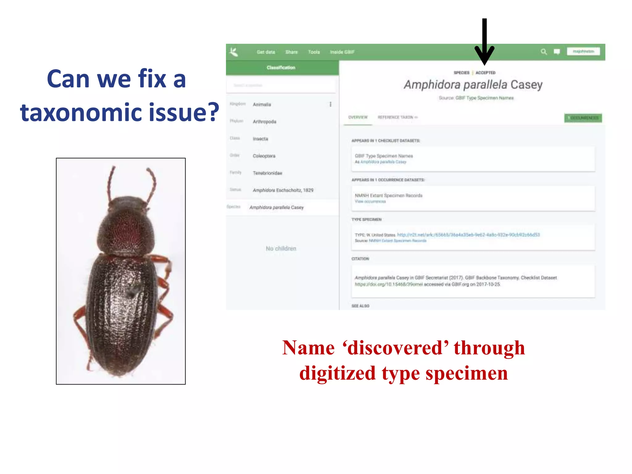 Name ‘discovered’ through
digitized type specimen
Can we fix a
taxonomic issue?
 