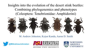 Insights into the evolution of the desert stink beetles:
Combining phylogenemics and phenotypes
(Coleoptera: Tenebrionidae: Amphidorini)
M. Andrew Johnston, Kojun Kanda, Aaron D. Smith
@MAndrewJohnston
 