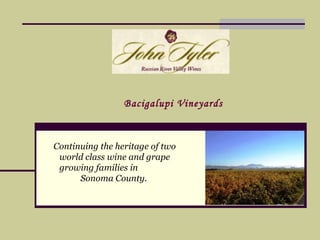 Continuing the heritage of two world class wine and grape growing families in  Sonoma County.   Bacigalupi Vineyards 