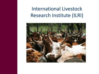 Animal breeding for reduced poverty and improved food security in developing countries