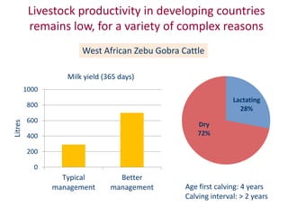 Animal breeding for reduced poverty and improved food security in developing countries