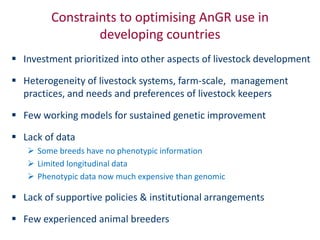 Animal breeding for reduced poverty and improved food security in developing countries