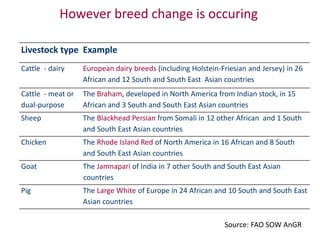 Animal breeding for reduced poverty and improved food security in developing countries