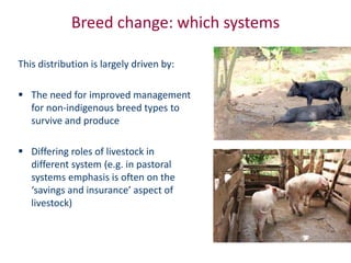 Animal breeding for reduced poverty and improved food security in developing countries