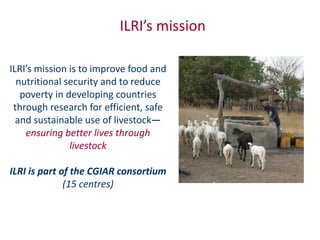 Animal breeding for reduced poverty and improved food security in developing countries