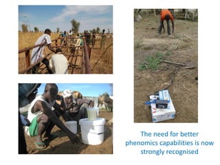 Animal breeding for reduced poverty and improved food security in developing countries