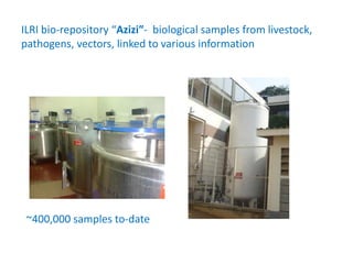 Animal breeding for reduced poverty and improved food security in developing countries