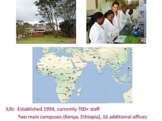 Animal breeding for reduced poverty and improved food security in developing countries