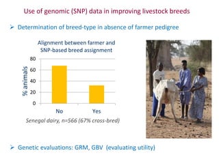 Animal breeding for reduced poverty and improved food security in developing countries