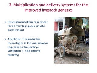 Animal breeding for reduced poverty and improved food security in developing countries