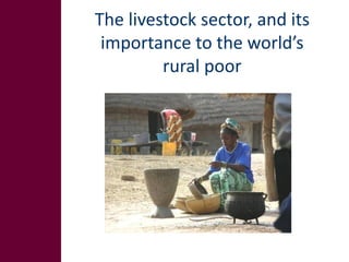 Animal breeding for reduced poverty and improved food security in developing countries