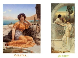 Violetas…   ¿sí o no?
 