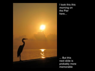 I took this this
morning on
the Pier
here...




... But this
next slide is
probably more
memorable
 