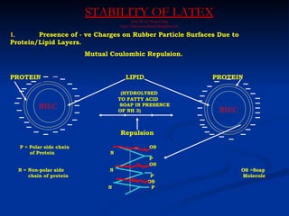STABILITY OF LATEX
                                           John Woon Sung-Liang
                                    http://latexconsultants.blogspot.com

1.      Presence of - ve Charges on Rubber Particle Surfaces Due to
Protein/Lipid Layers.
                         Mutual Coulombic Repulsion.


PROTEIN                                LIPID                               PROTEIN

                                     (HYDROLYSED
                                    TO FATTY ACID
          RH/C                      SOAP IN PRESENCE
                                    OF NH 3)                                RH/C

                                    Repulsion

  P = Polar side chain                               OS-
      of Protein                N
                                                     P-
                                                     OS-
  N = Non-polar side           N                                                   OS =Soap
      chain of protein                               P-                            Molecule
                                                    OS-
                               N                     P-
 