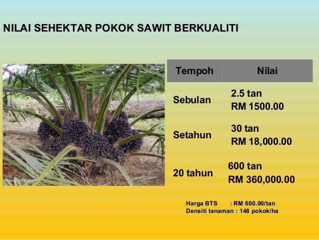 Johor baja organik u0026 soil conditioner