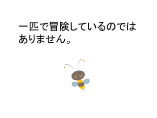 一匹で冒険しているのでは 
ありません。  