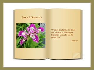 “ O amor à natureza é o único que não trai as esperanças humanas. Com ele, não há decepções”. Balzac Amor à Natureza 